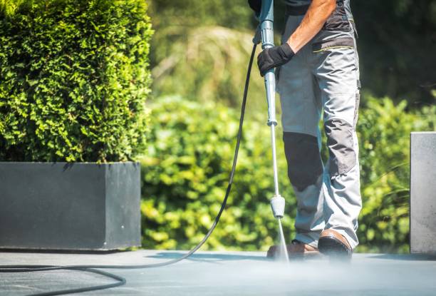 Pre-Holiday Cleaning in Belvidere, NJ